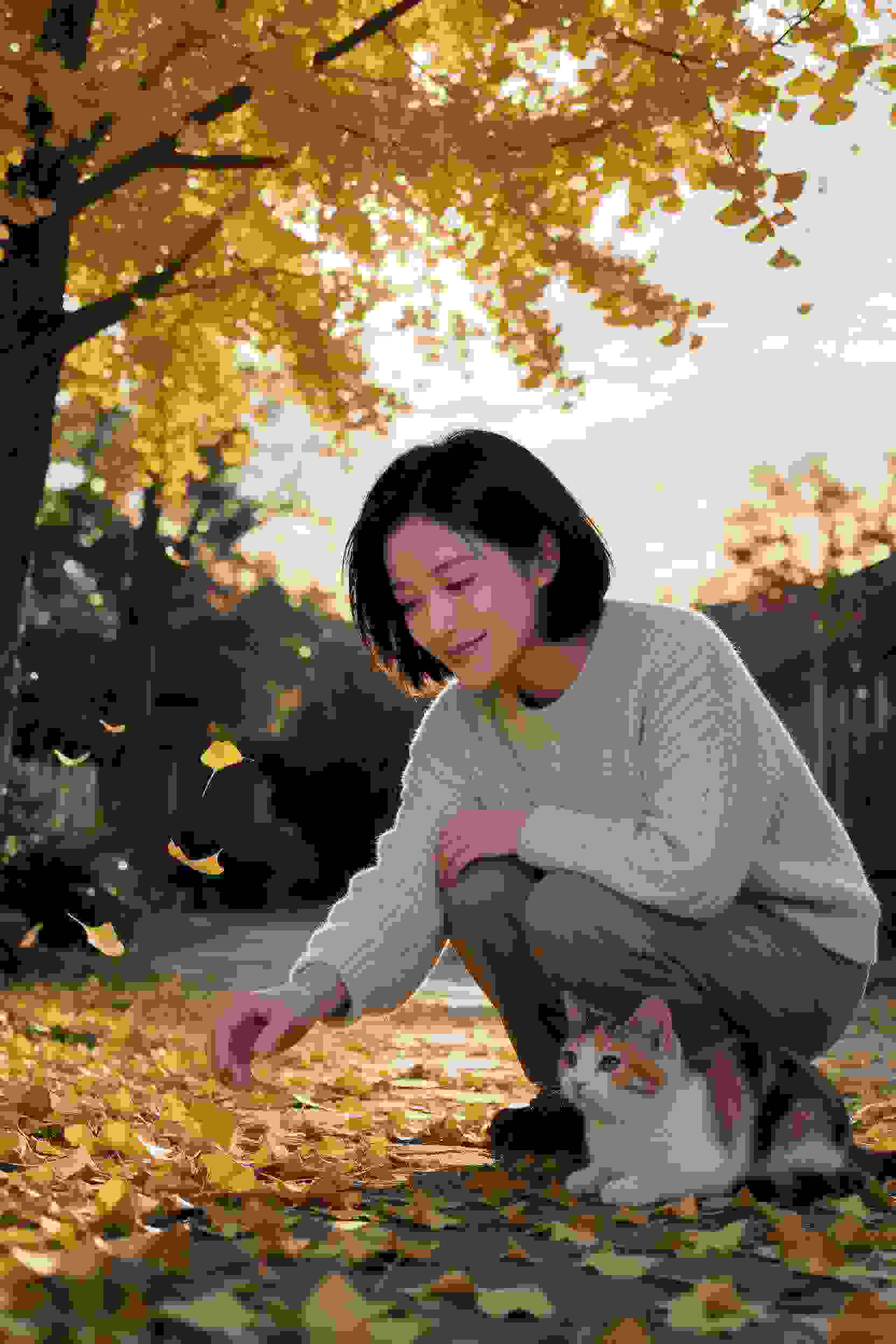龙珠超